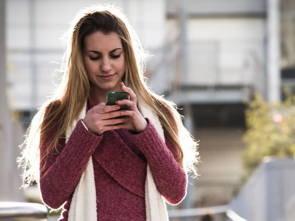 Onlinevoting_Michele-Ursino_flickr_BY-SA_2-0