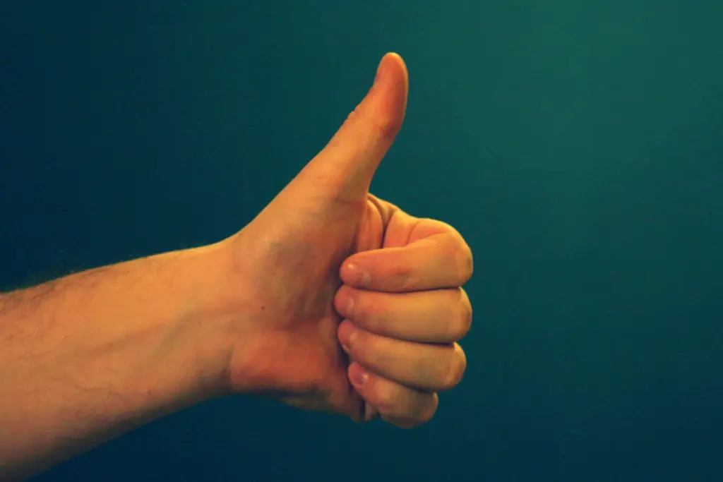 Like_Sarah-Reid_flickr_CC-BY_2-0