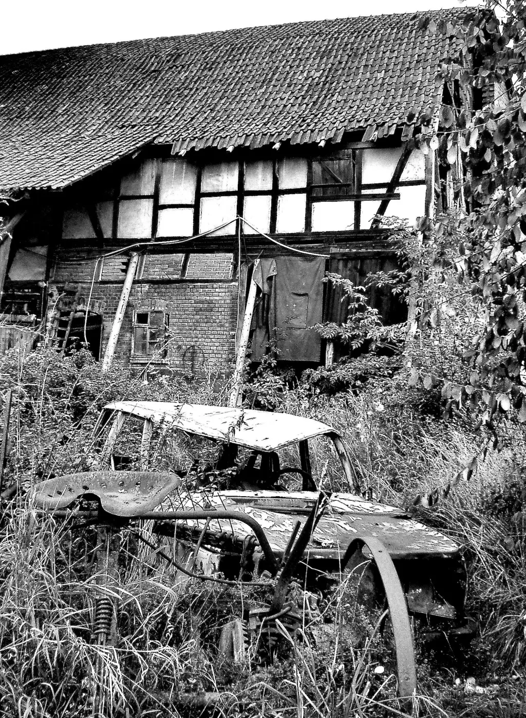 10.	"Juliane Schein" / www.jugendfotos.de, CC-Lizenz(by-nc)
http://creativecommons.org/licenses/by-nc/3.0/deed.de