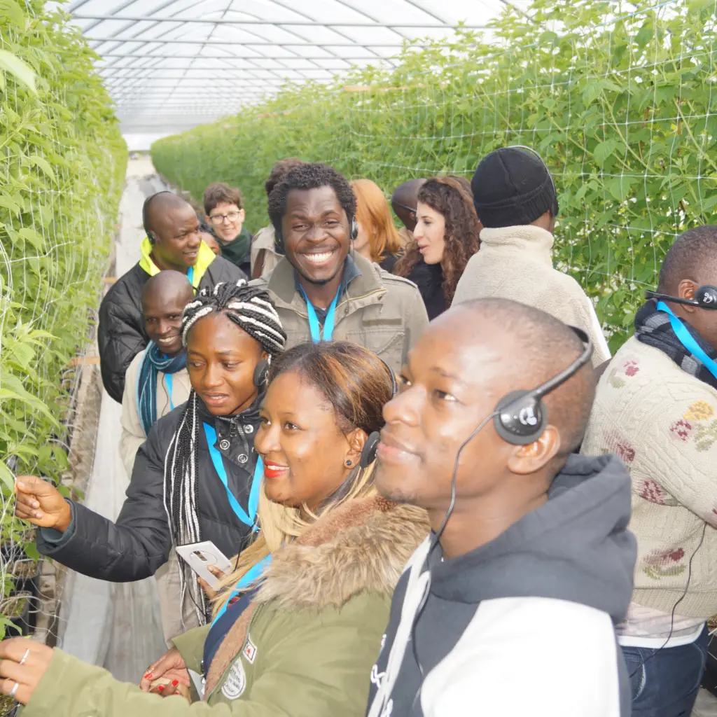 Die internationale Gruppe besichtigt ein Himbeergewächshaus
