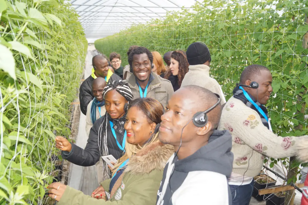 Die internationale Gruppe besichtigt ein Himbeergewächshaus