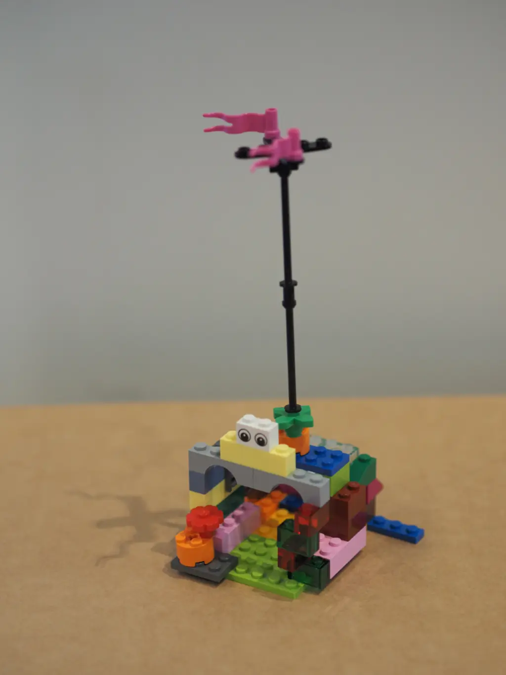 OLYMPUS DIGITAL CAMERA