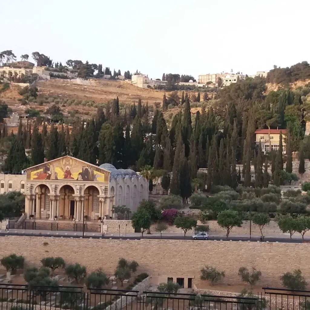 19400349_1825895614390800_4081228237827900382_o