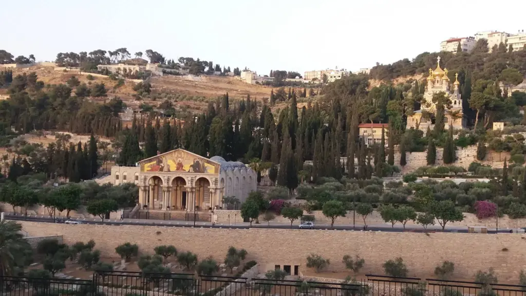 19400349_1825895614390800_4081228237827900382_o