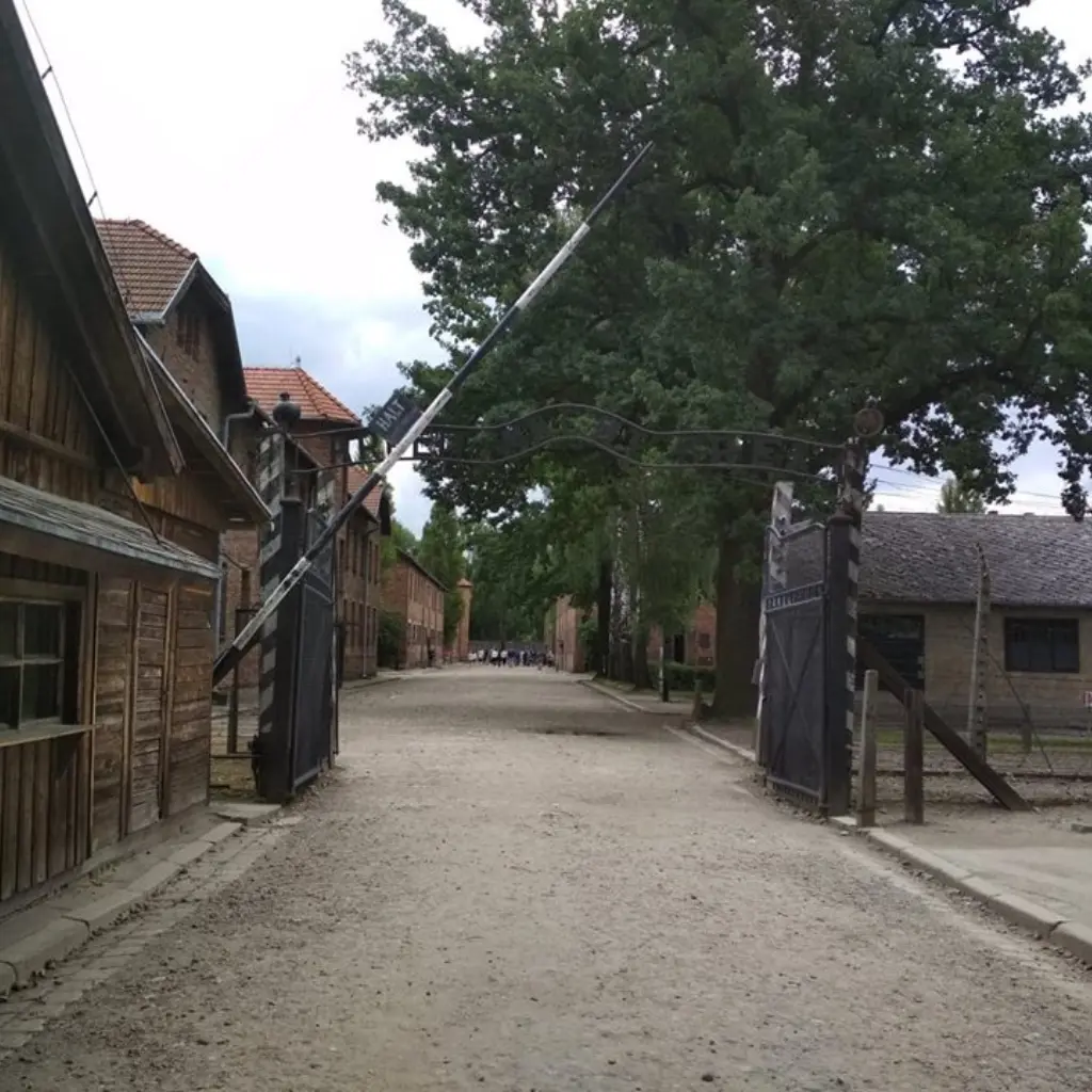 36426800_831506470382388_3989867933282074624_n