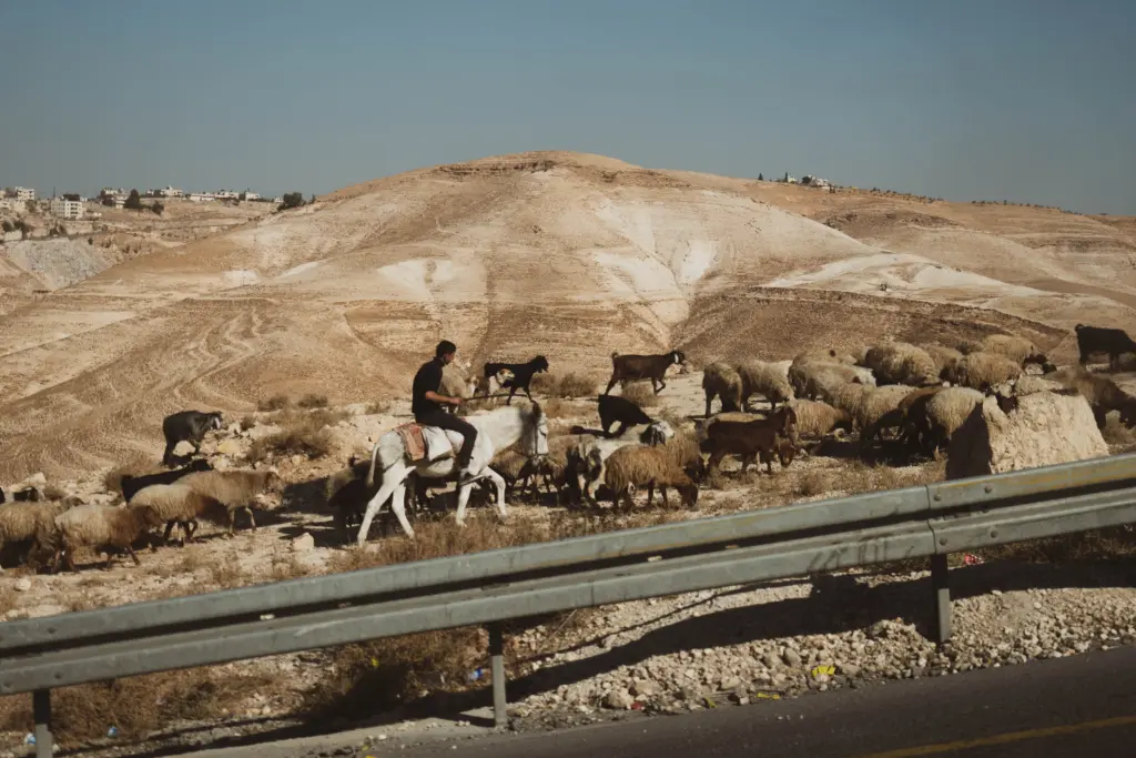 Foto: Mathias Birsens