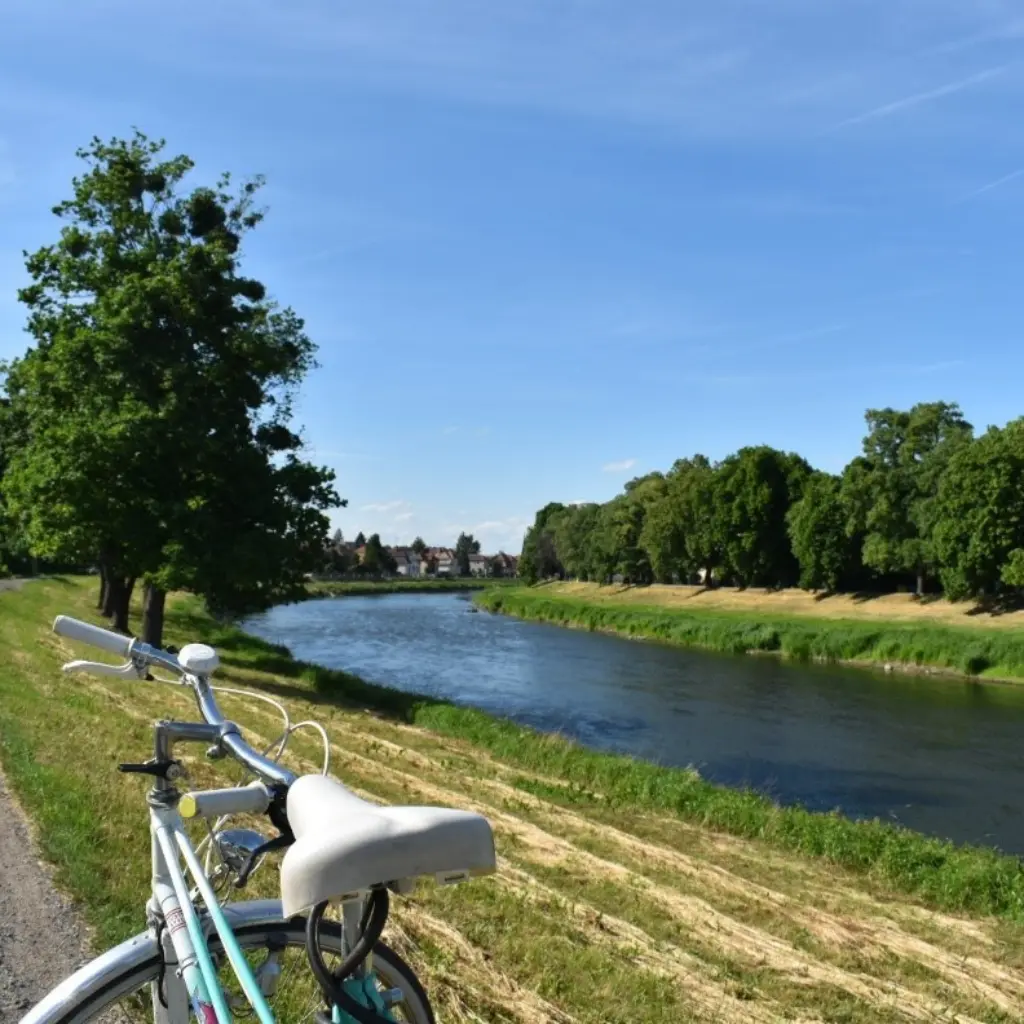 Südmähren eignet sich übrigens wunderbar zum Radfahren