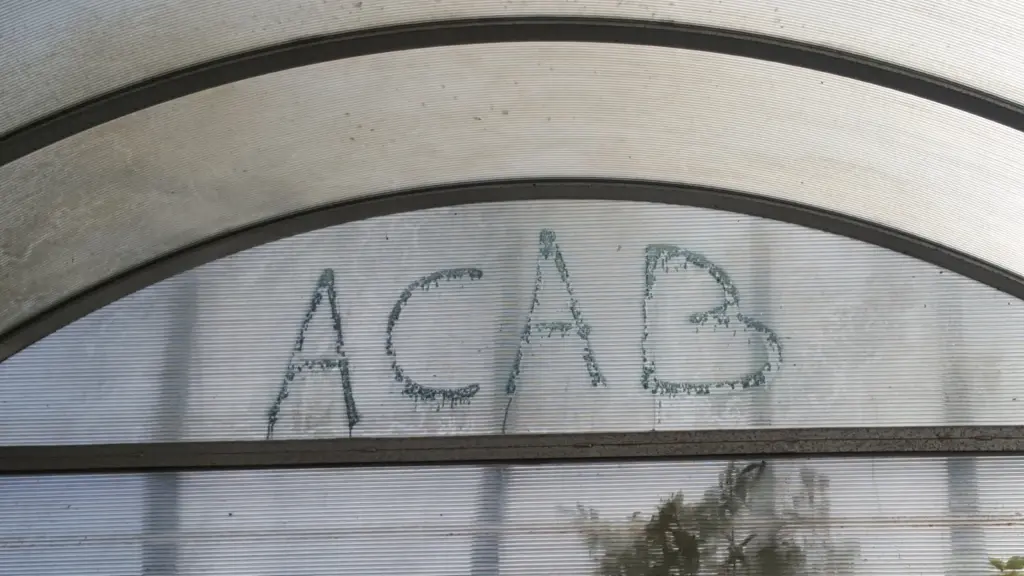 All cats are beautiful?